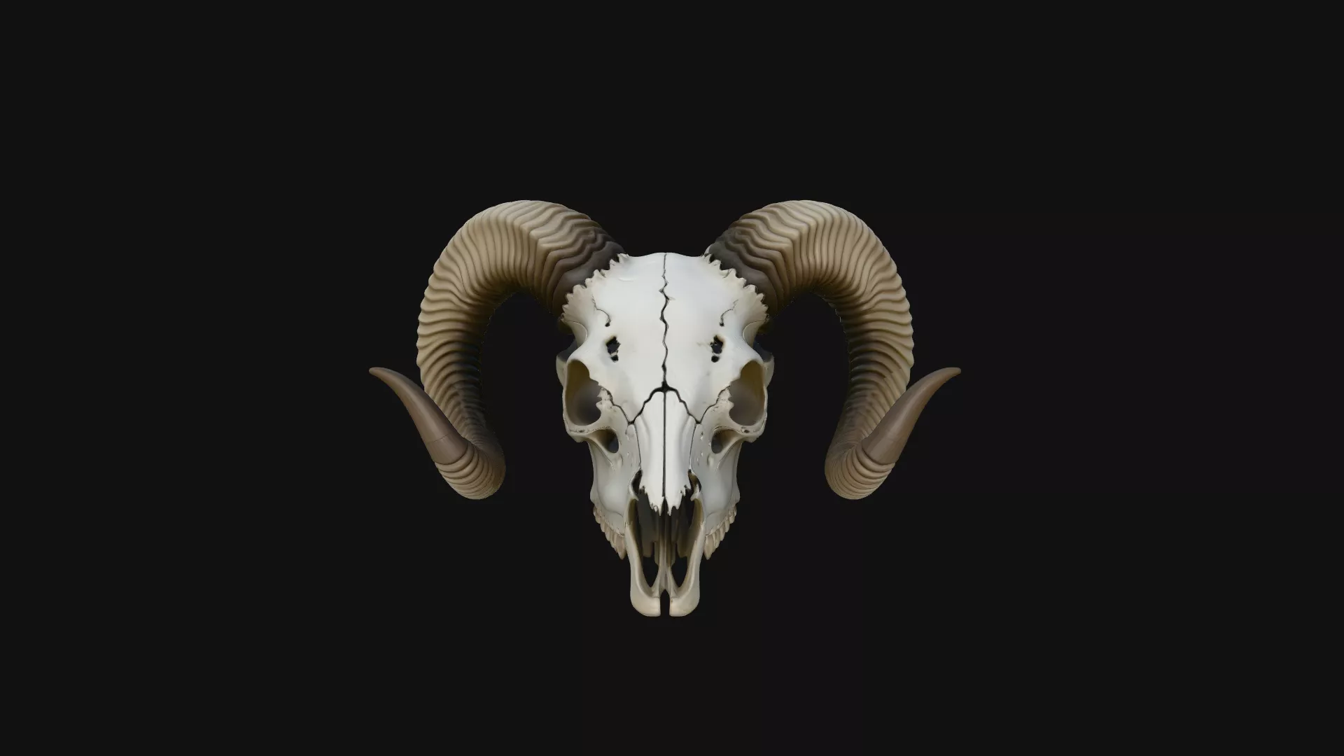 Ram Skull Wall Mount Design 1 - 3D Print Model 3D print model