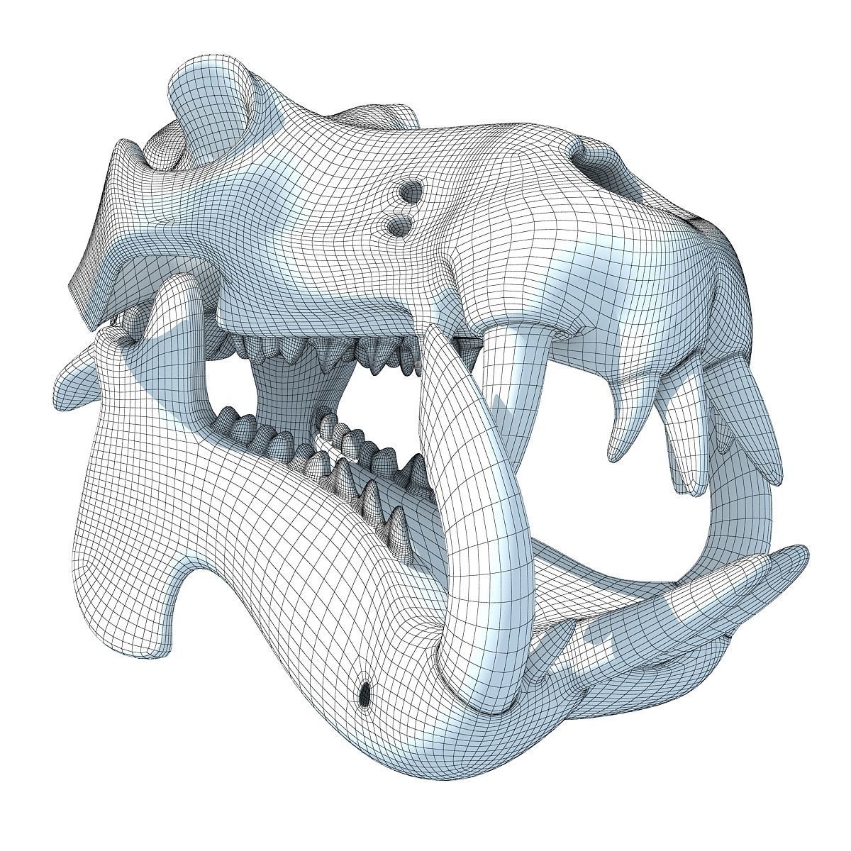 Hippo Skull  3D model_10