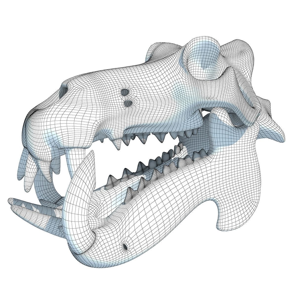 Hippo Skull  3D model_9