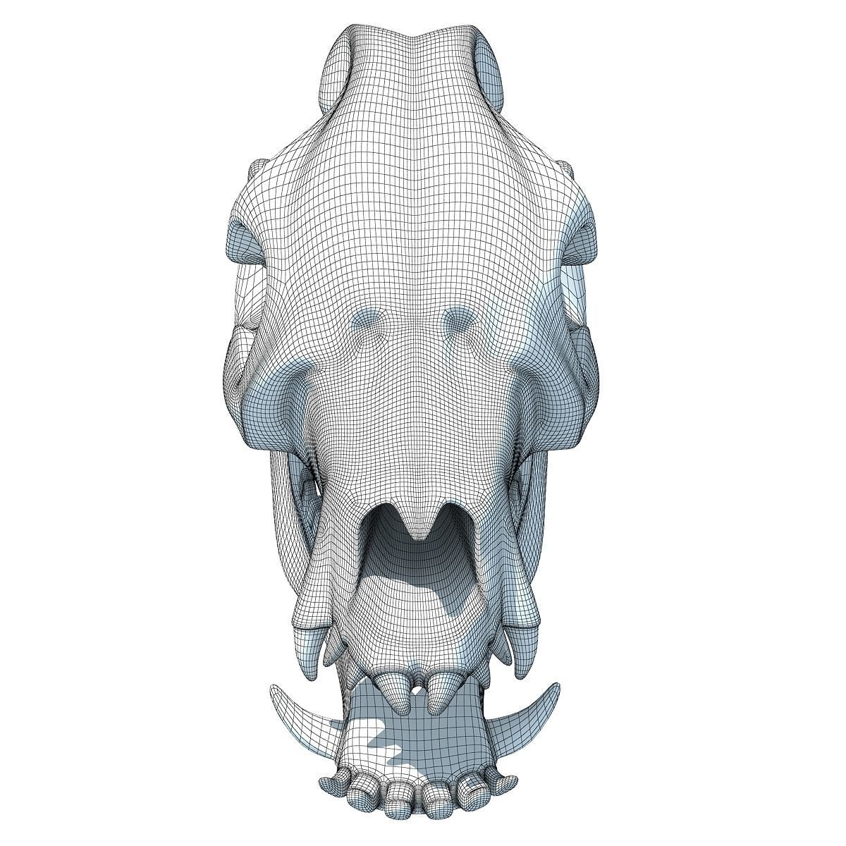 Pig Skull 3D model_9