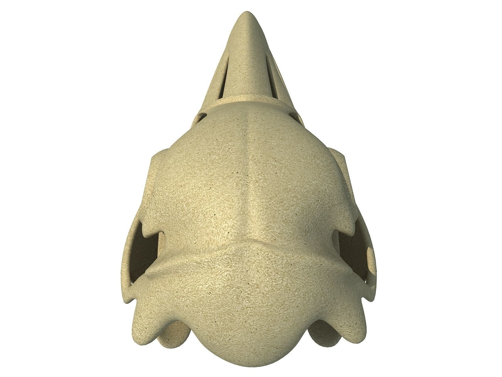 Detailed Penguin Skull 3D model_6