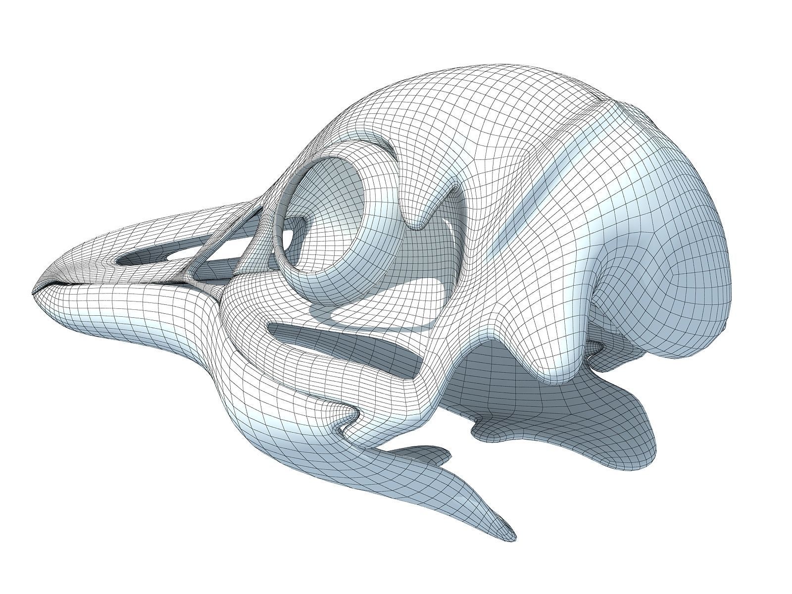 Detailed Penguin Skull 3D model_13