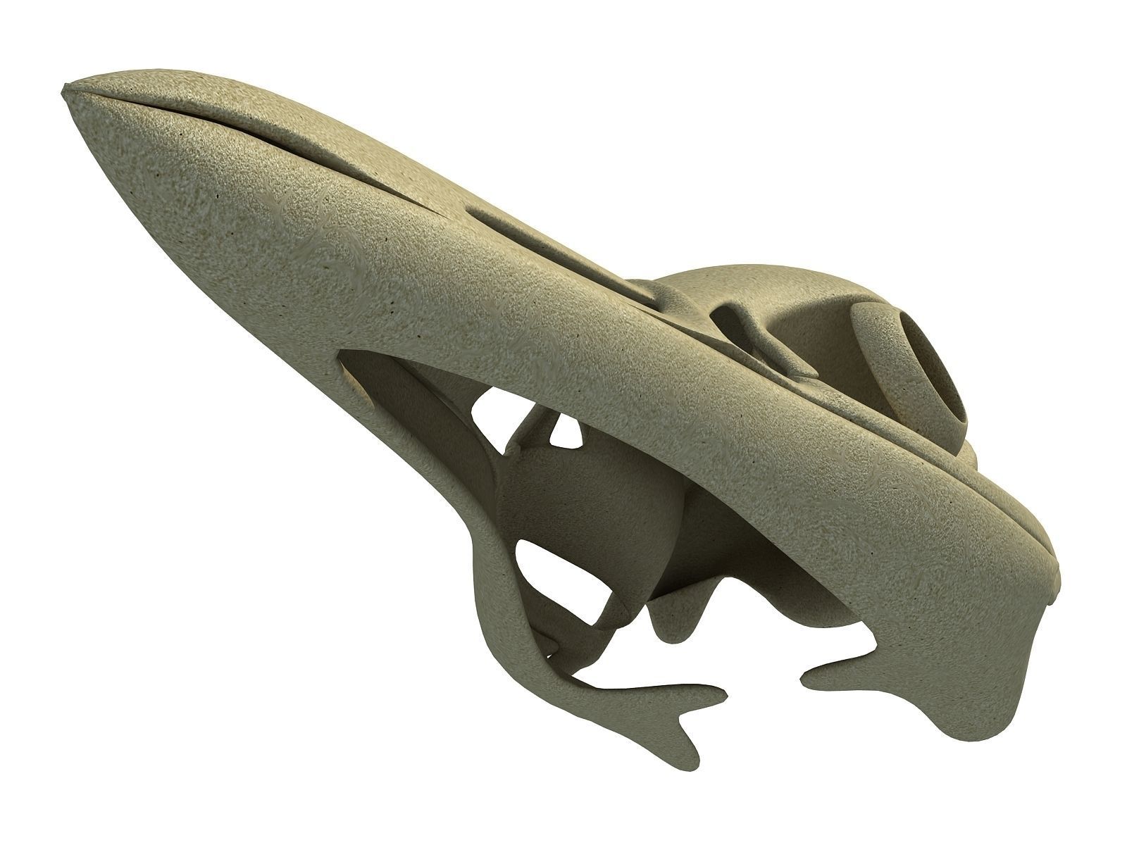 Detailed Penguin Skull 3D model_4