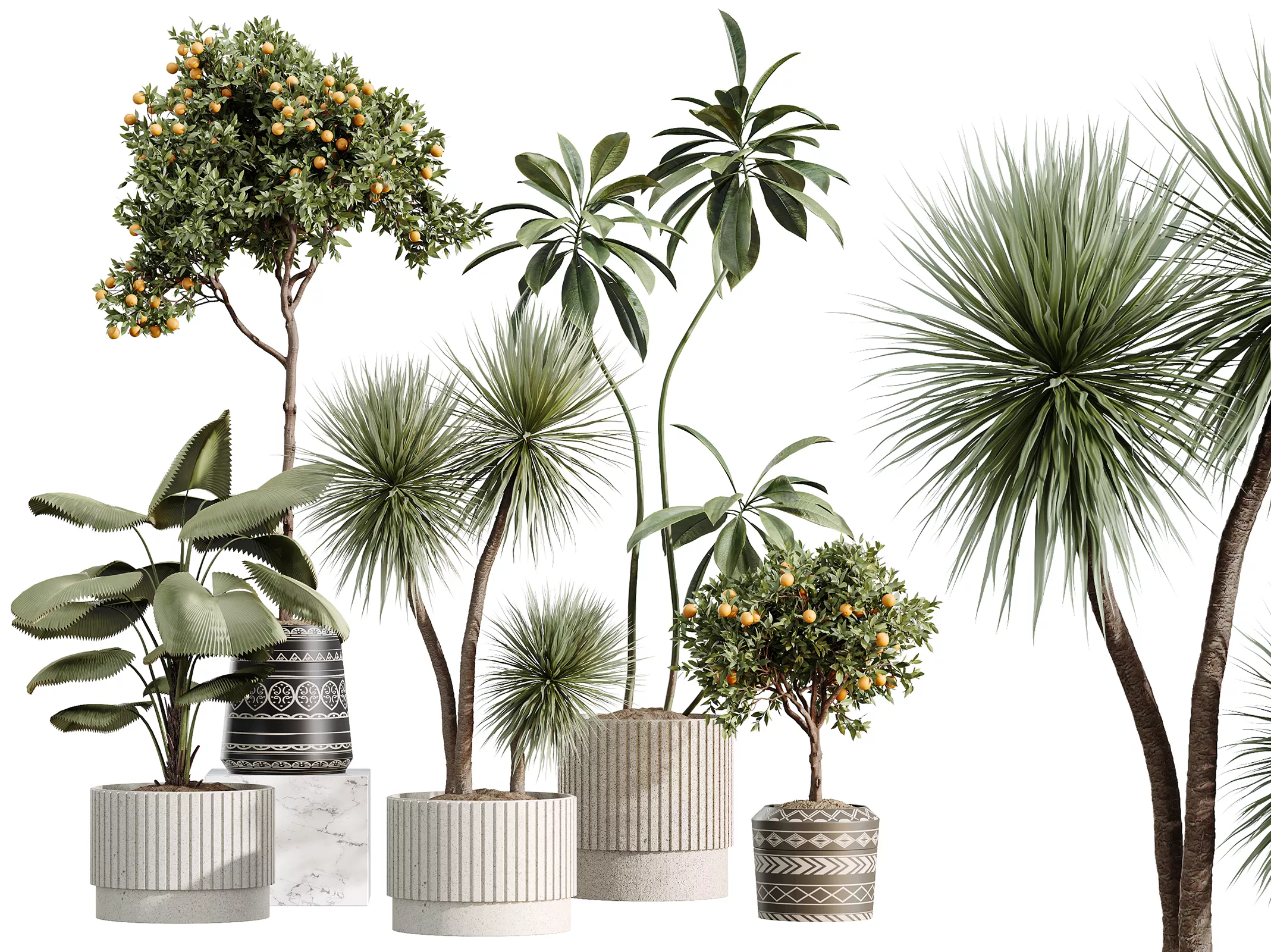 AV Indoor Plants Set 617 Orange Tree Yucca Fig Ruffled Palm 3D model