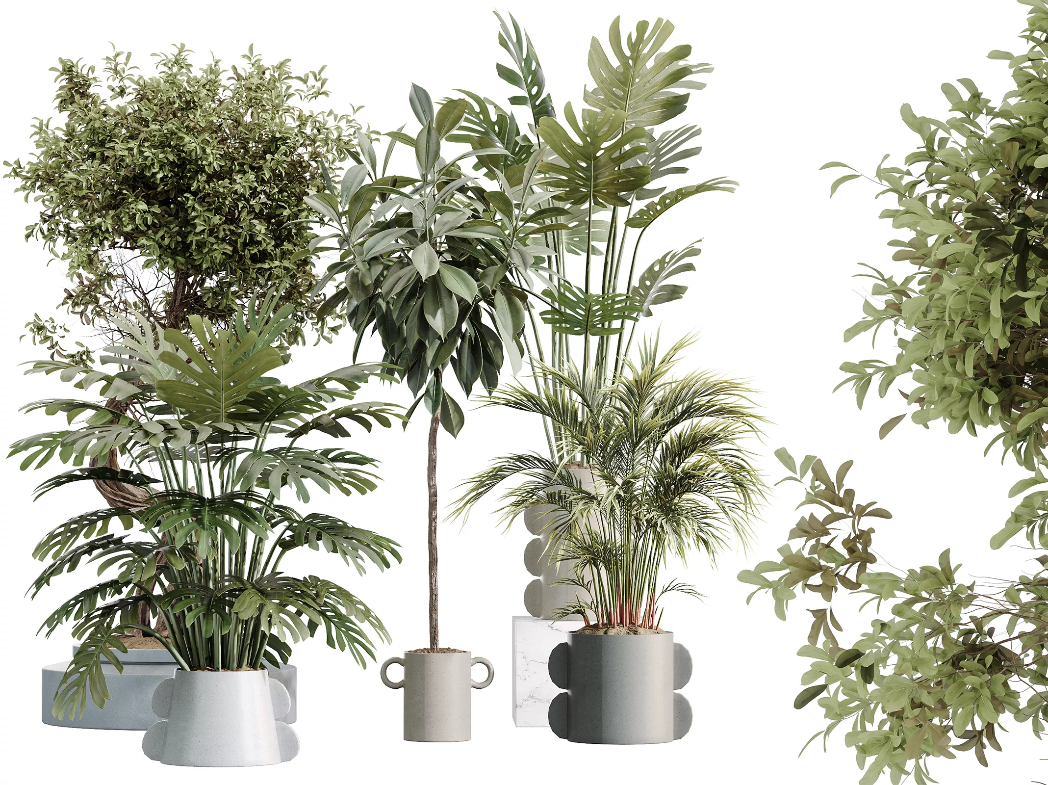 AV Indoor Plants Set 619 Ficus Microcarpa Bonsai Palm 3D model