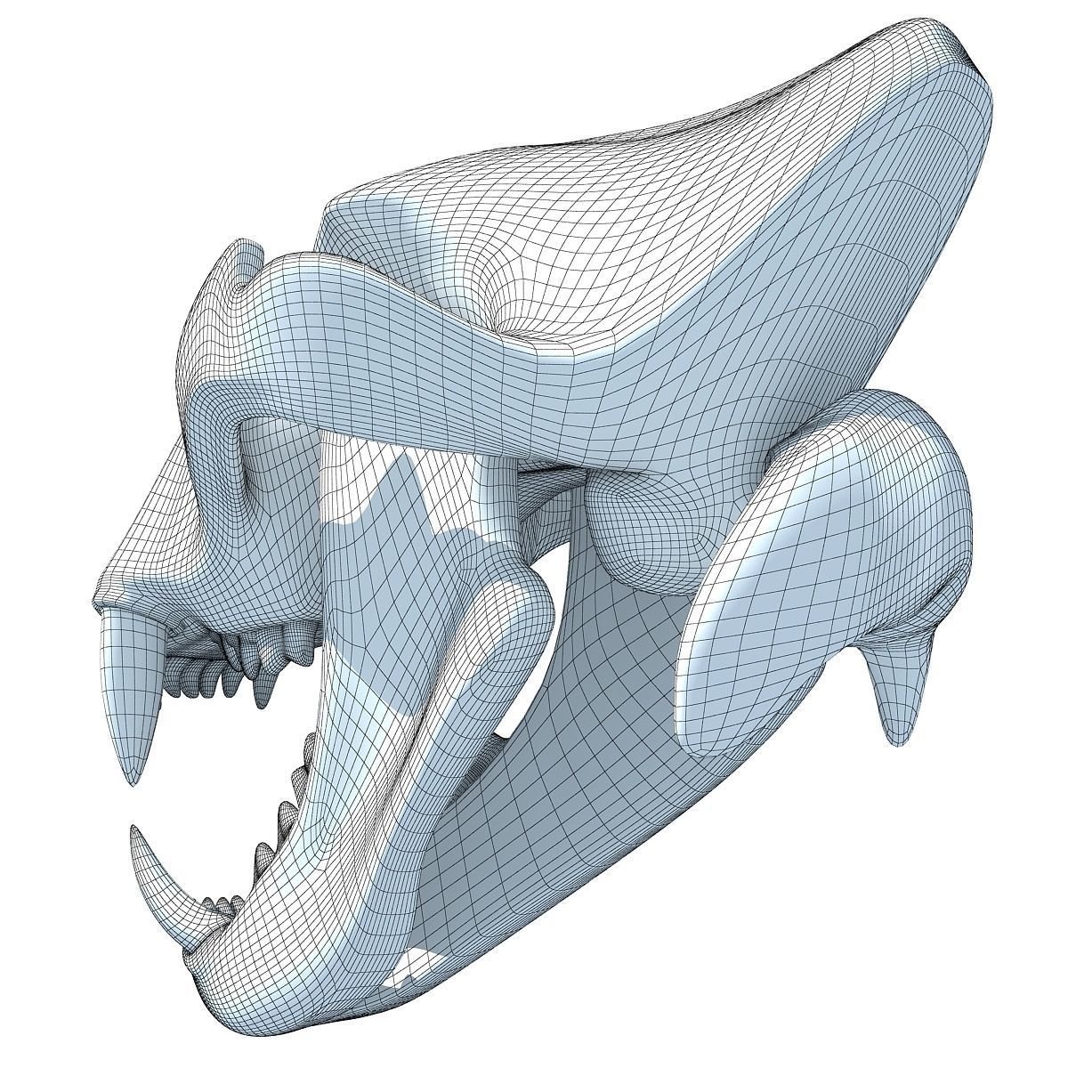 Lion Skull Bones  3D model_11