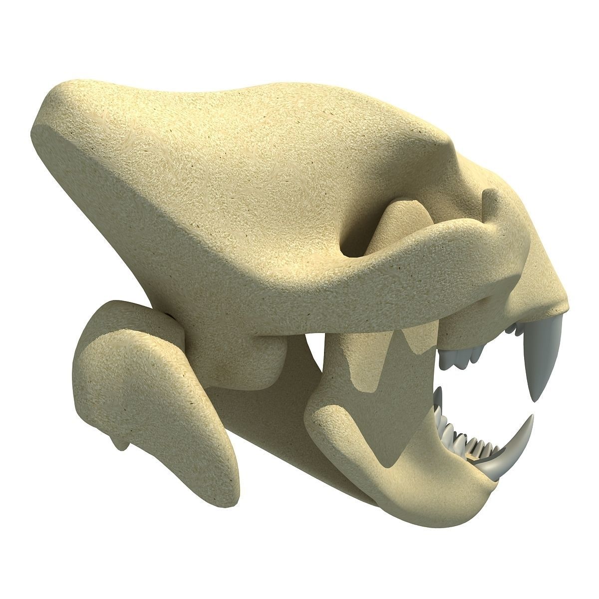 Lion Skull Bones  3D model_5