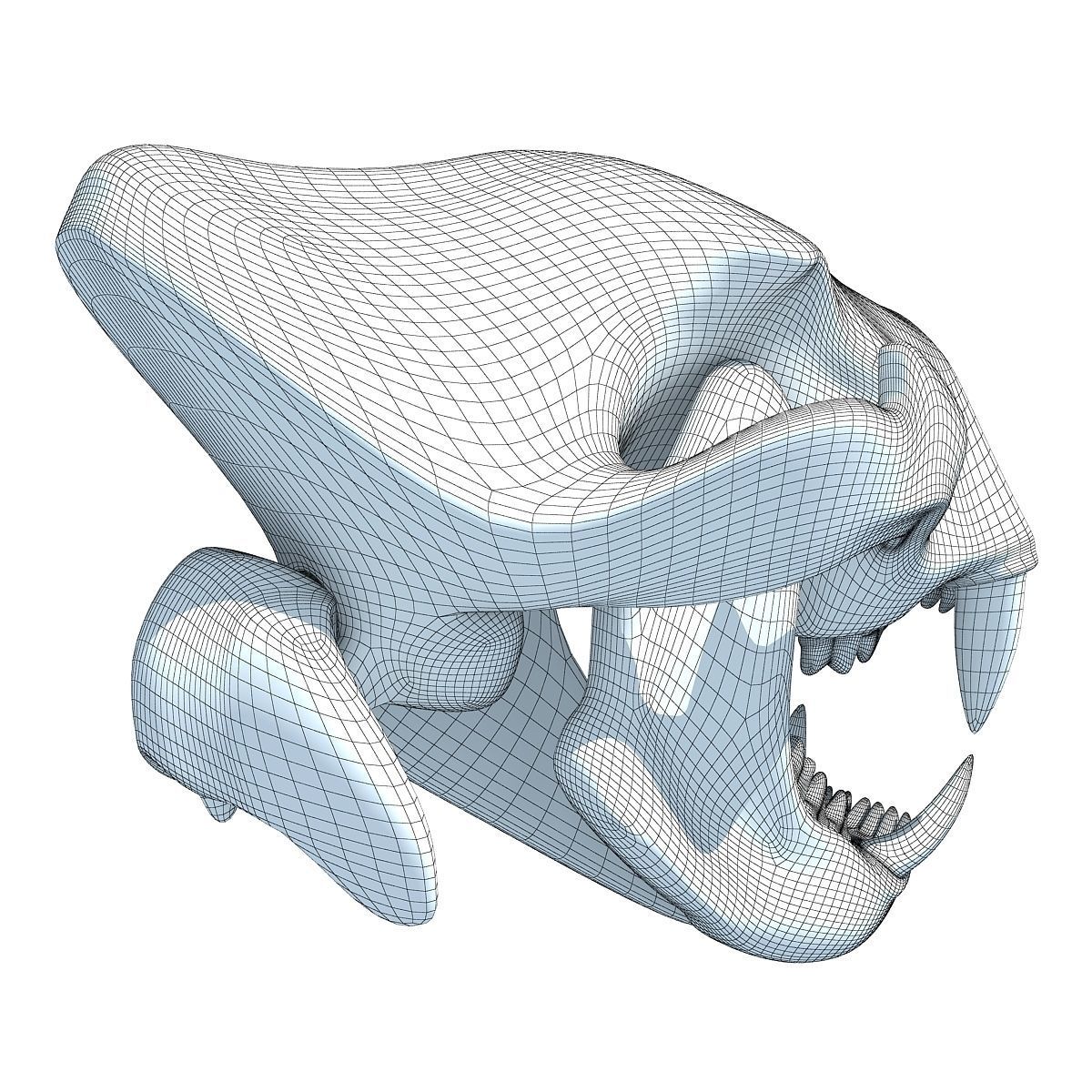 Lion Skull Bones  3D model_12