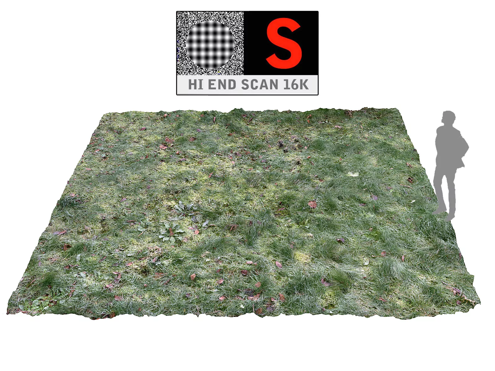 Frozen ground 16K Ultra HD Low-poly 3D model