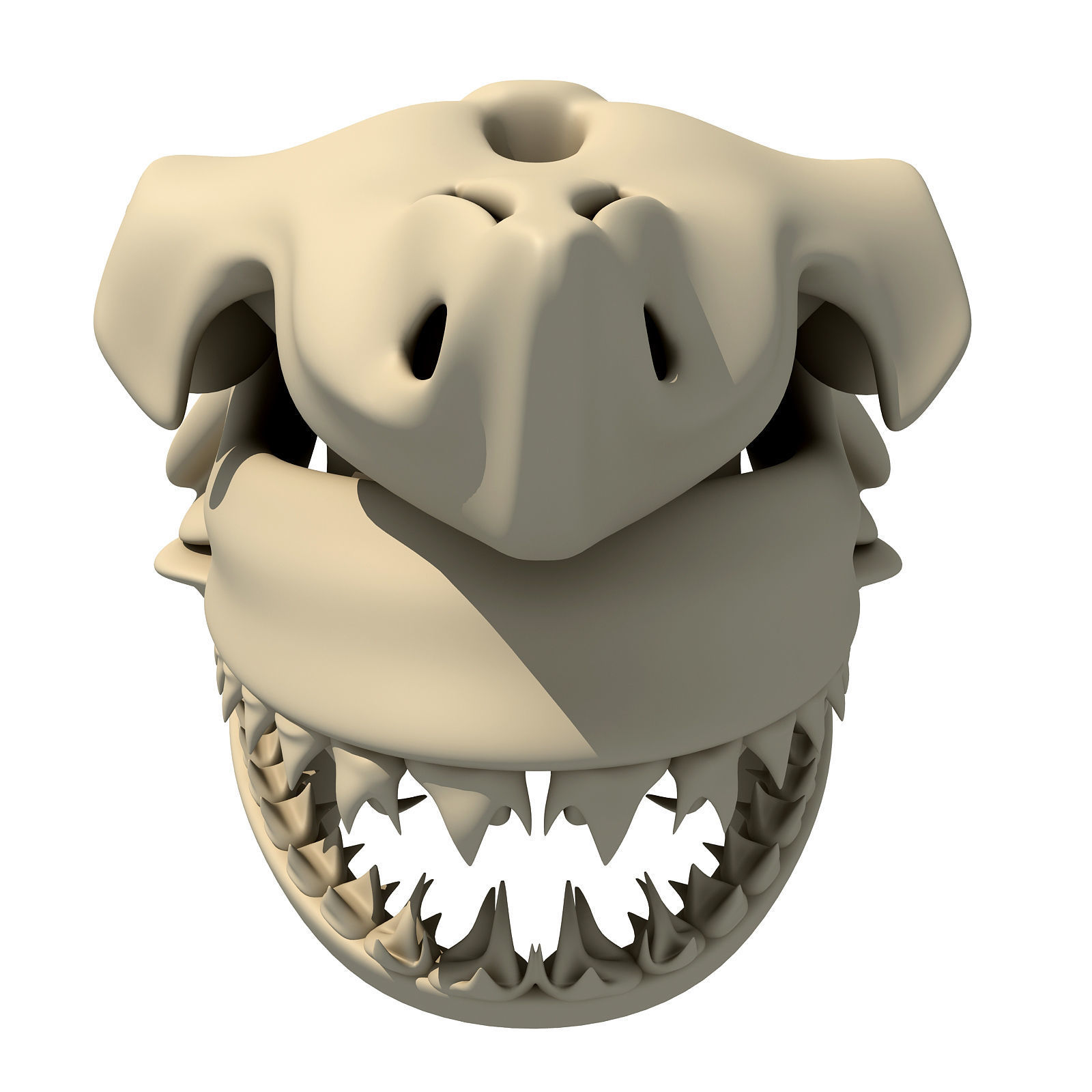 Great White Shark Skull 22 3D model_2