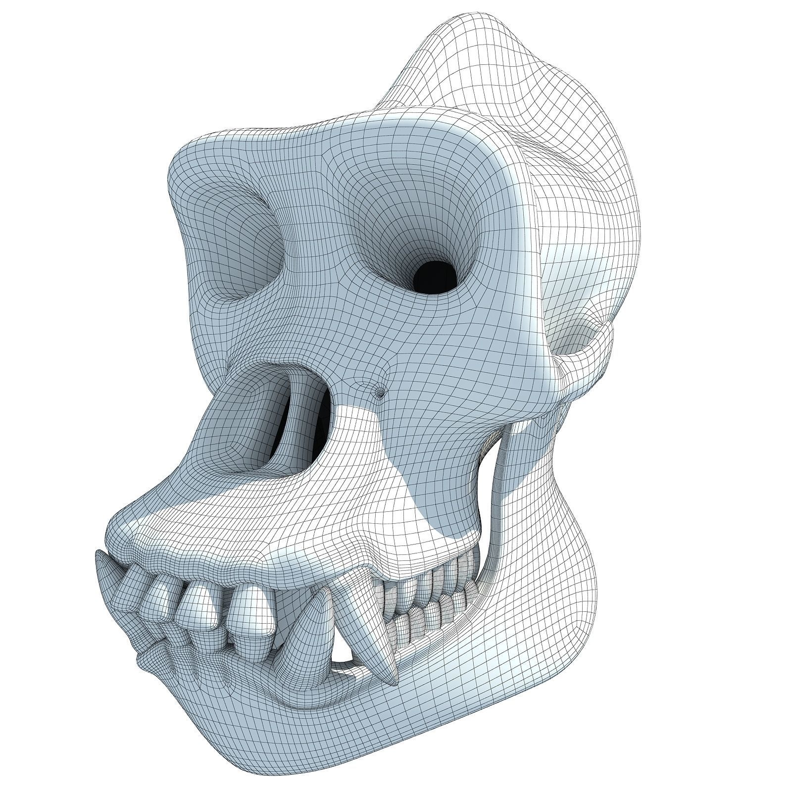 Realistic Gorilla Skull  3D model_9