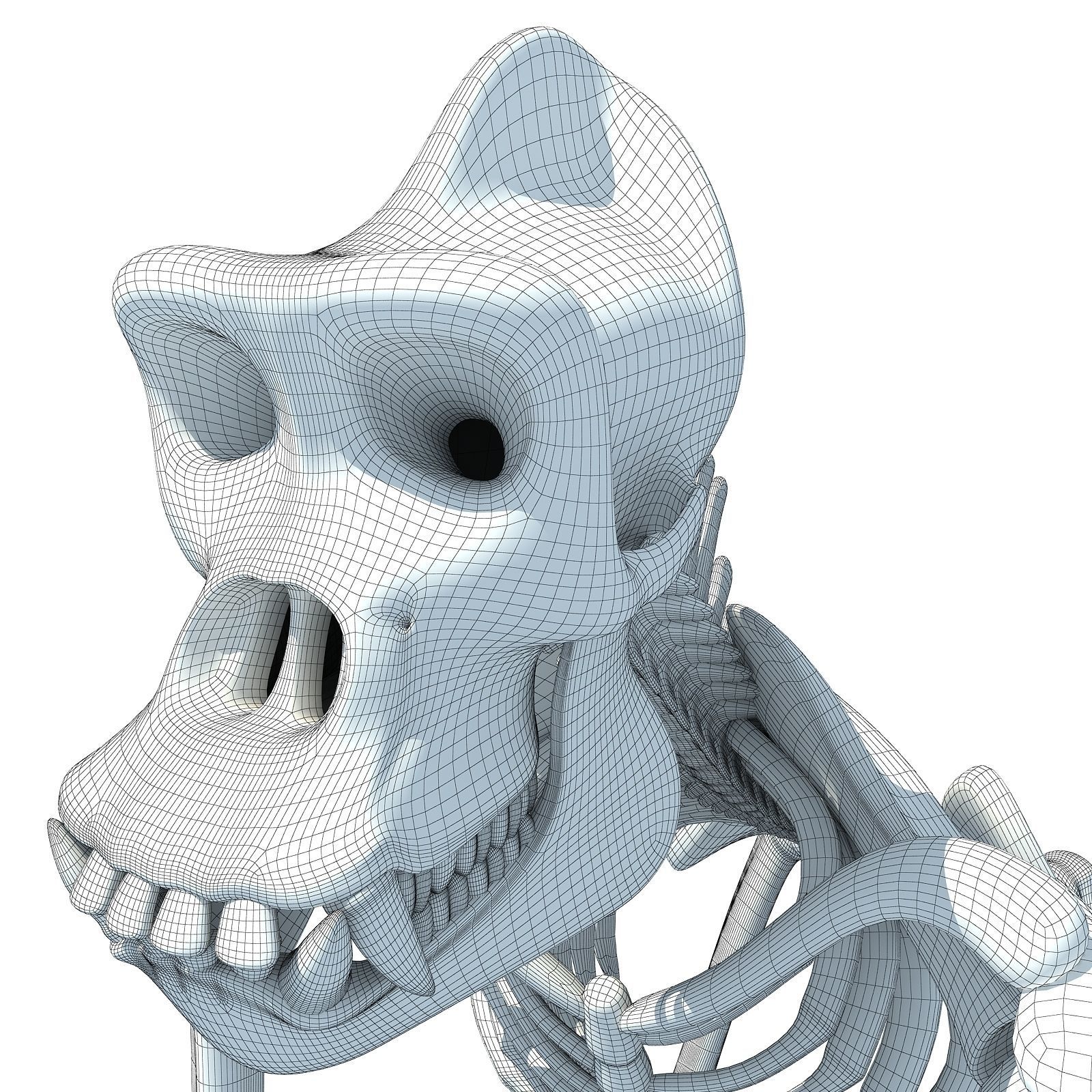 Gorilla Skeleton 3D model_16