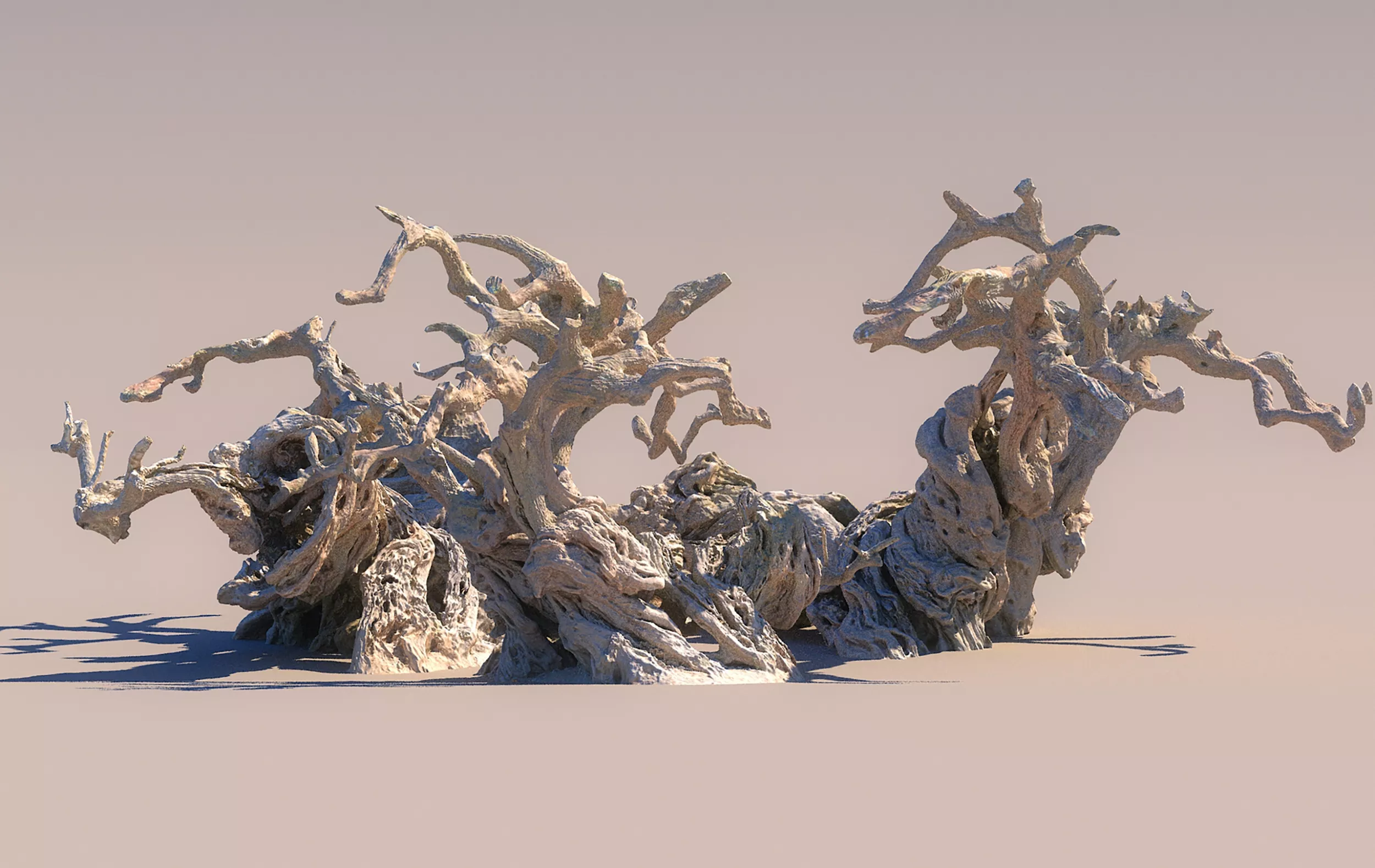 A thousand year old olive tree Low-poly 3D model