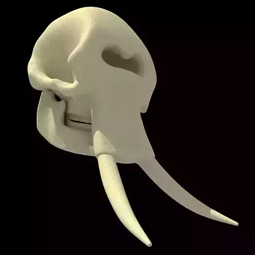 Realistic Elephant Skull 3D model