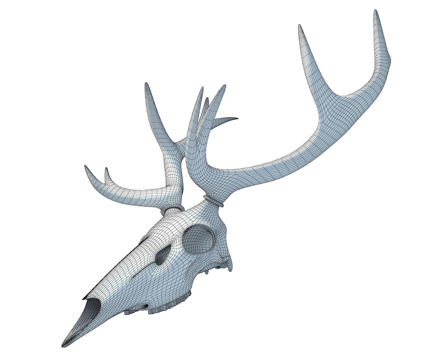 Deer Skull 3D model_9