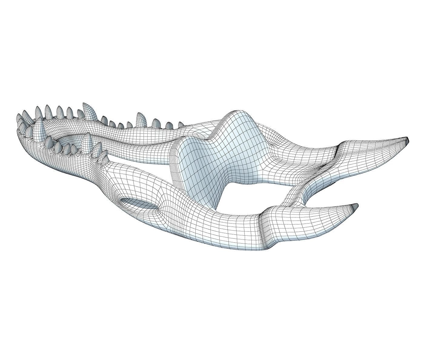 Crocodile jaw 3 3D model_6