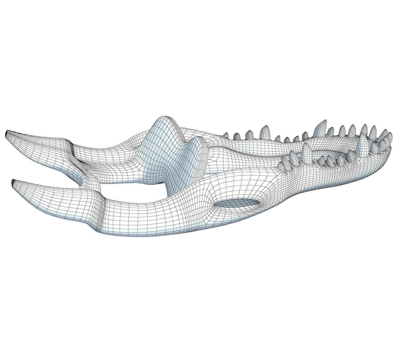 Crocodile jaw 3 3D model_8