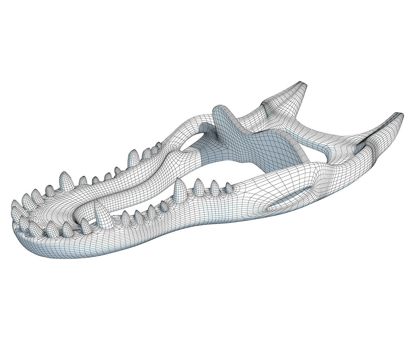 Crocodile jaw 3 3D model_5