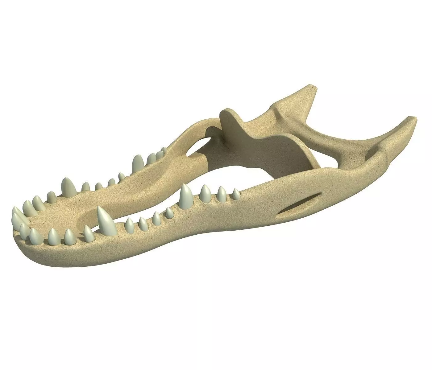 Crocodile jaw 3 3D model_0