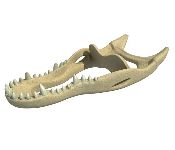 Crocodile jaw 3 3D model