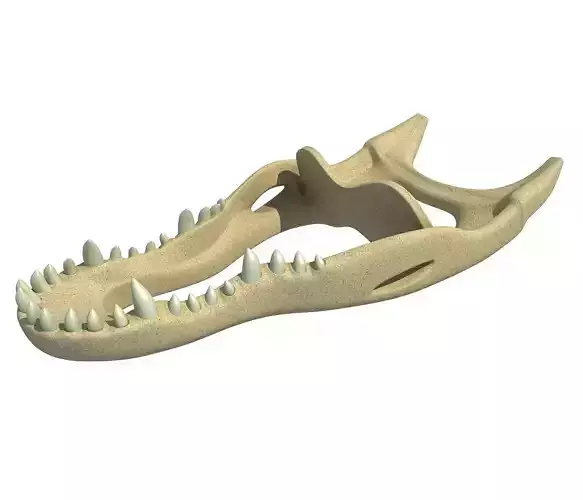 Crocodile jaw 3 3D model