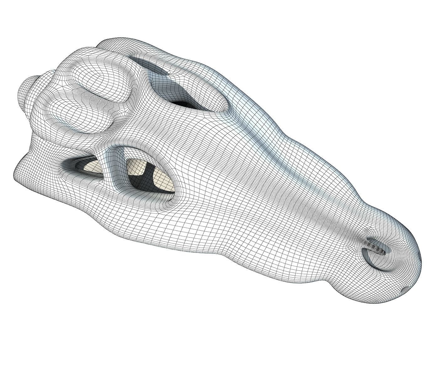 Crocodile Skull 8 3D model_6