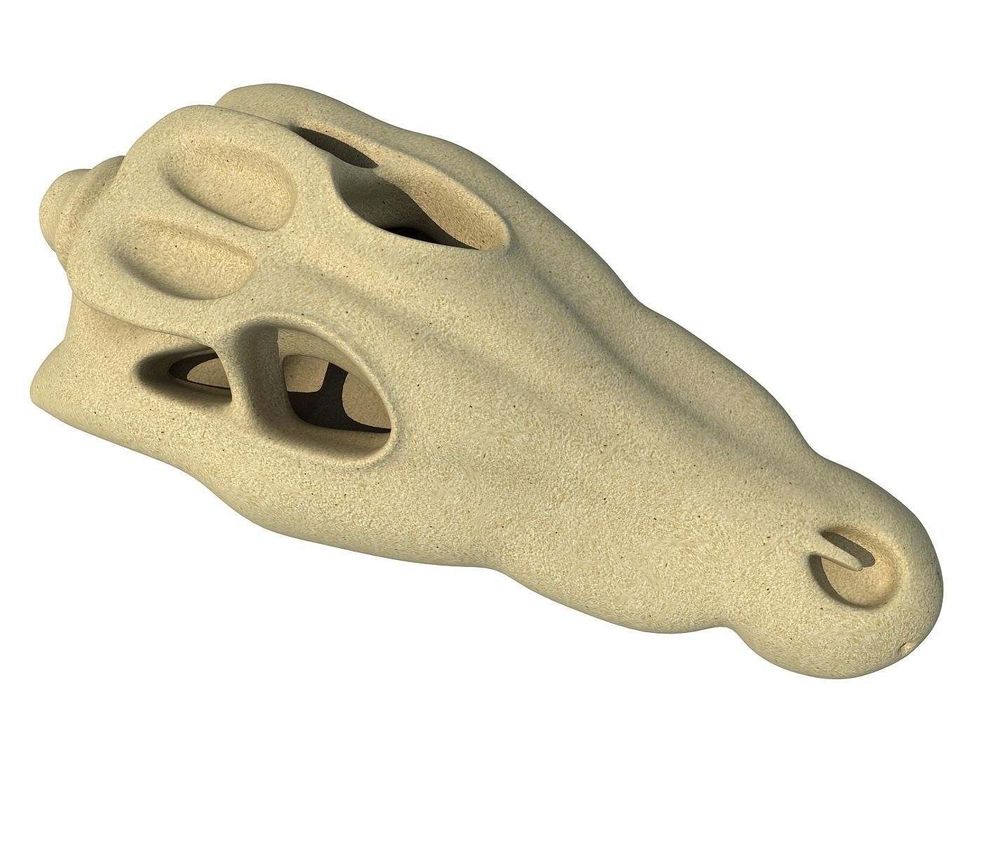 Crocodile Skull 8 3D model_4