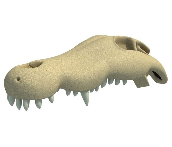 Crocodile Skull 8 3D model