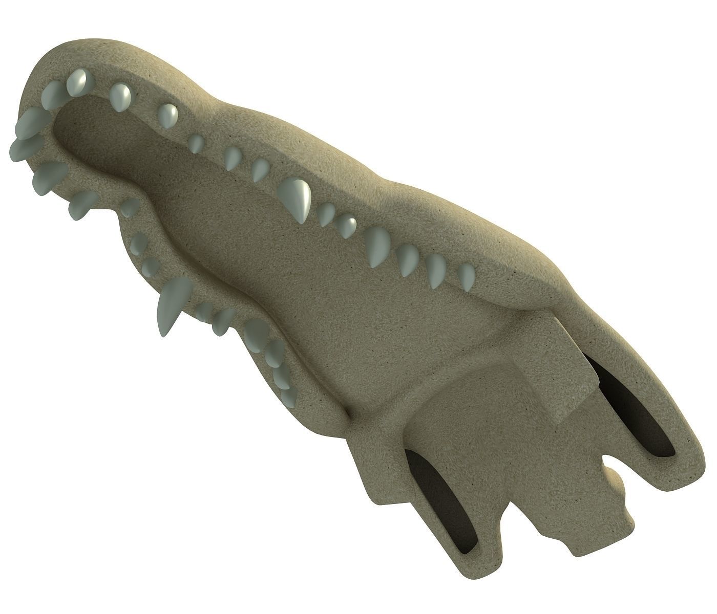Crocodile Skull 8 3D model_3