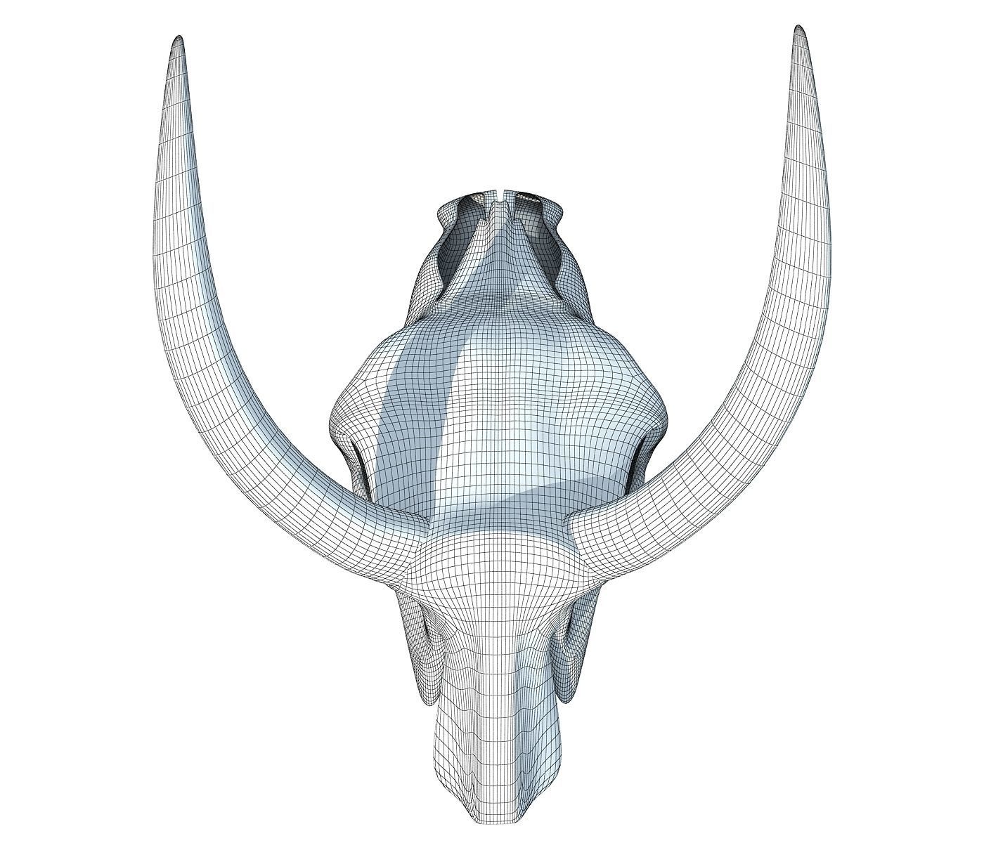 Realistic Cow Skull 3D model_8