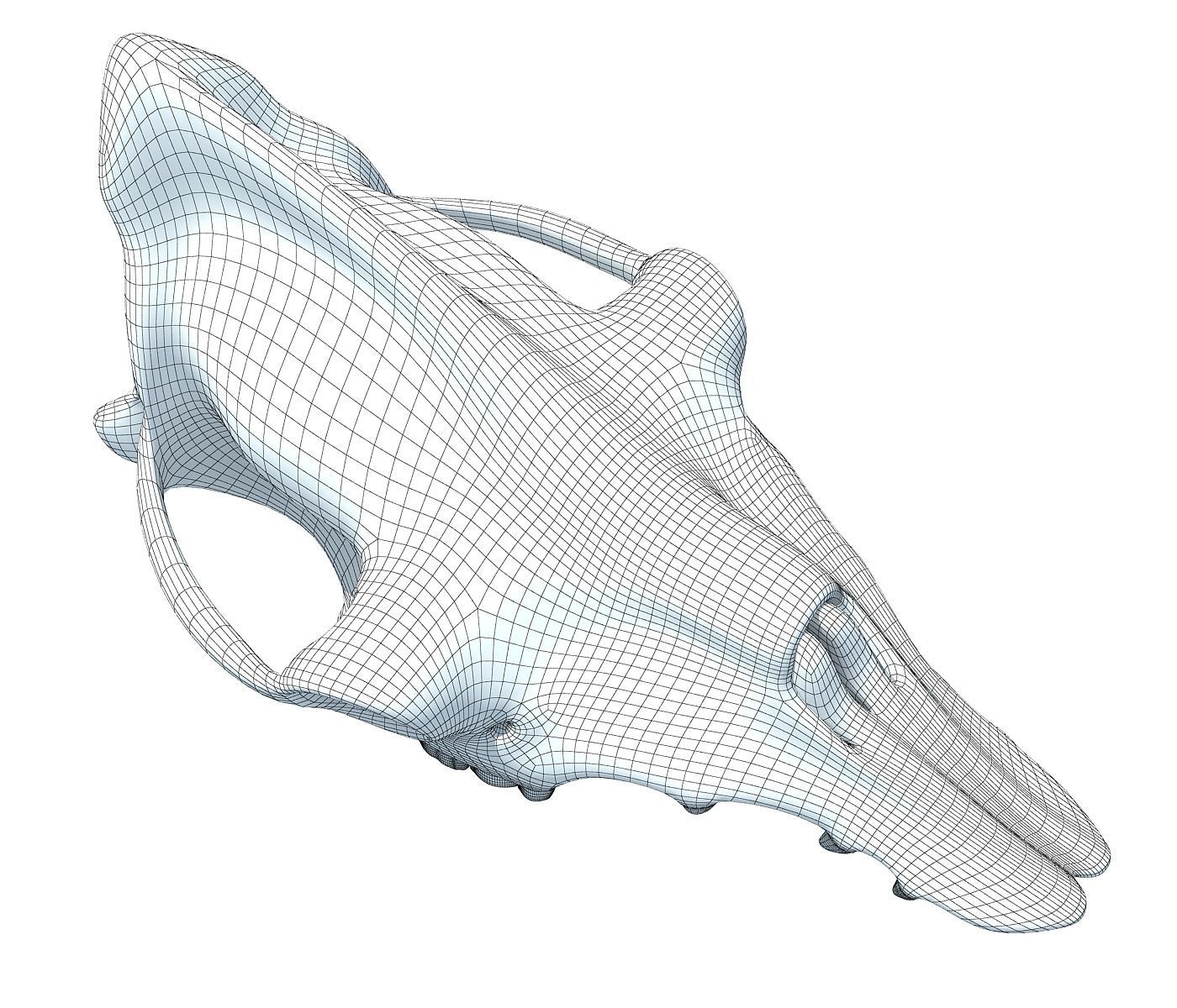 Camel Skull 3D model_6