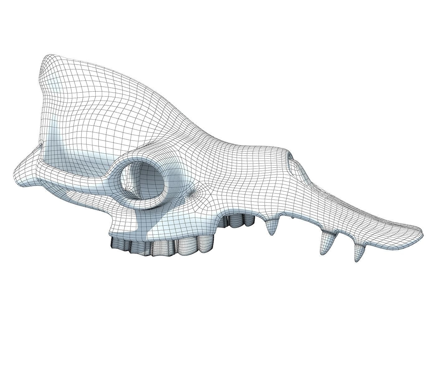 Camel Skull 3D model_5