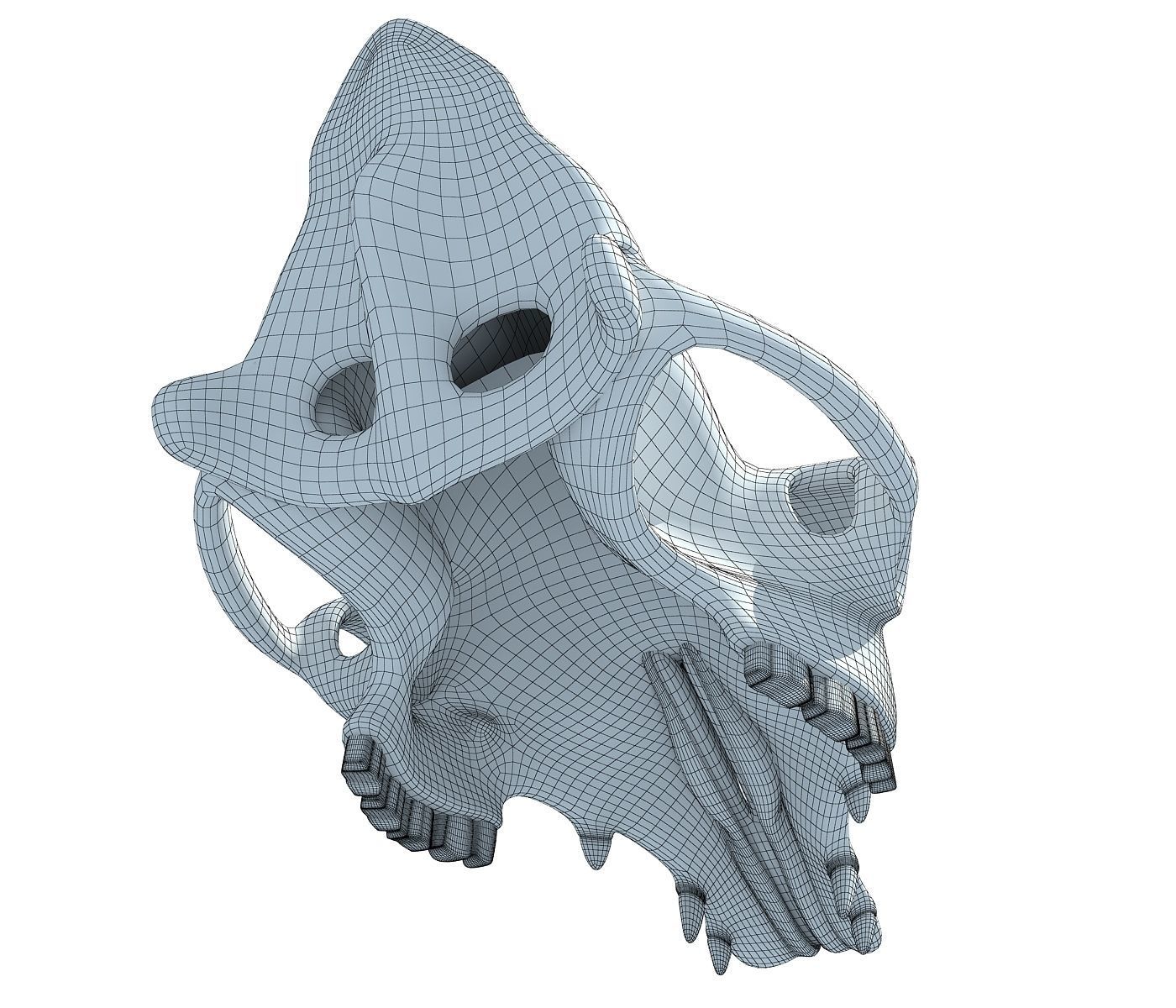 Camel Skull 3D model_9