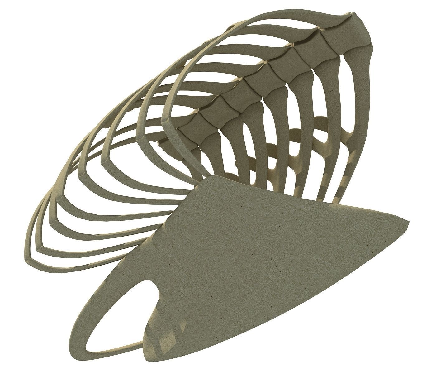 Penguin Rib Cage 3D model_4