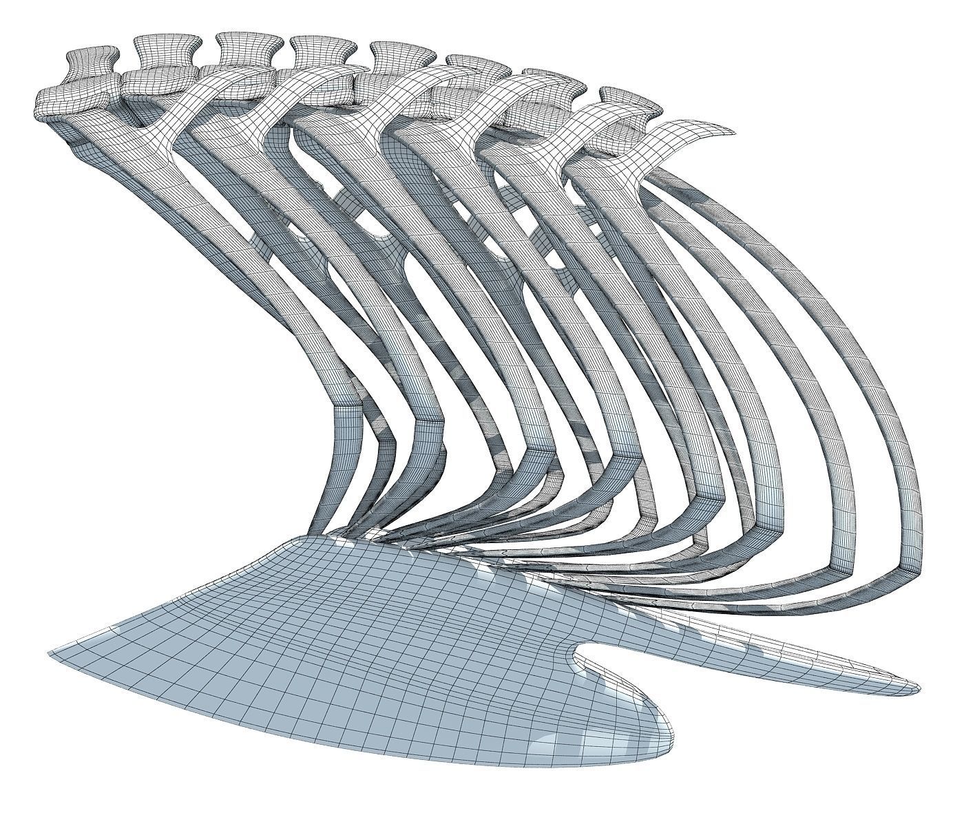 Penguin Rib Cage 3D model_9