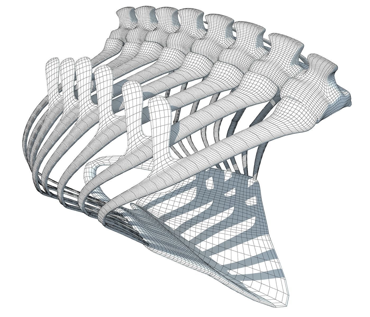 Penguin Rib Cage 3D model_8