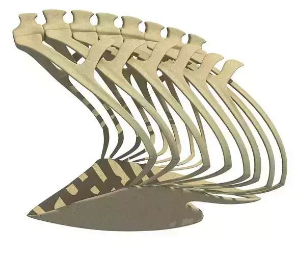 Penguin Rib Cage 3D model
