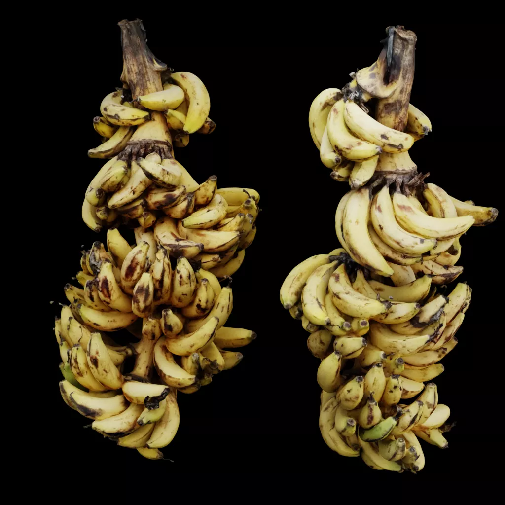 Banana Bunch Low-poly 3D model