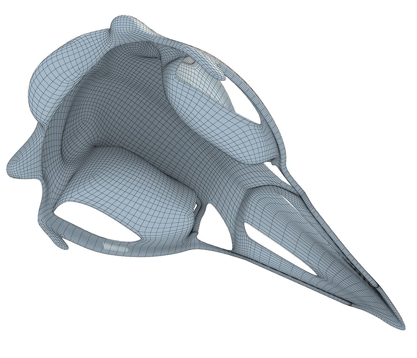 Skeleton of Bald Eagle Skull  3D model_8