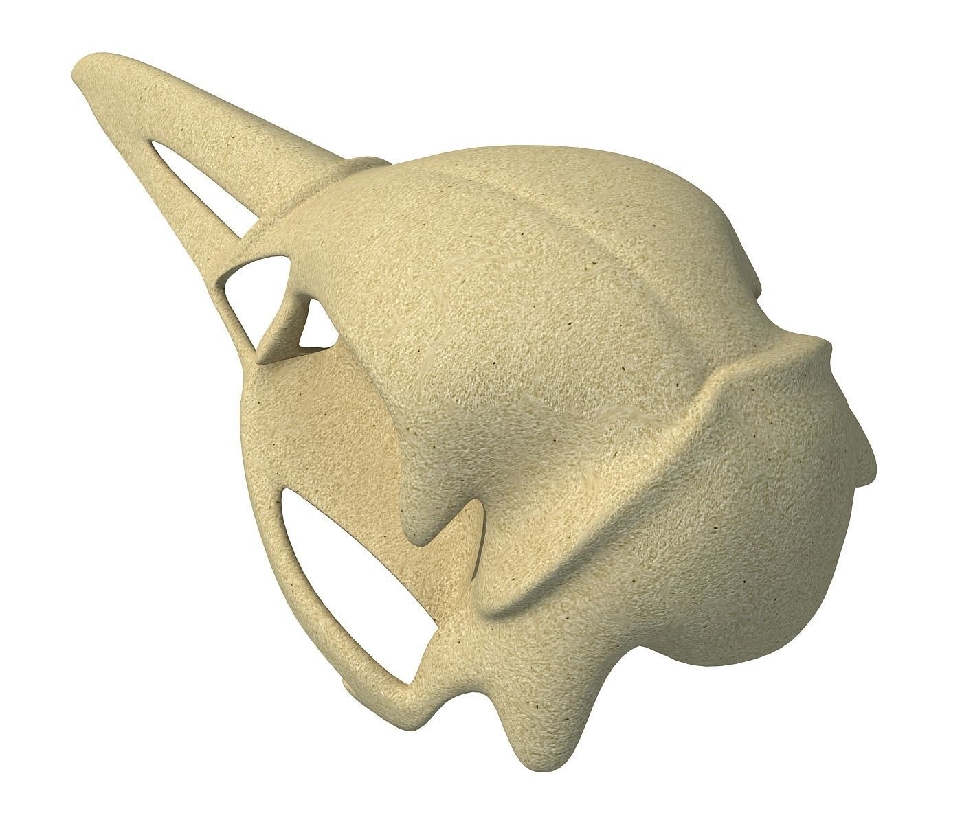 Skeleton of Bald Eagle Skull  3D model_3