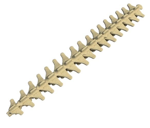 Mammal Spinal Bones  3D model