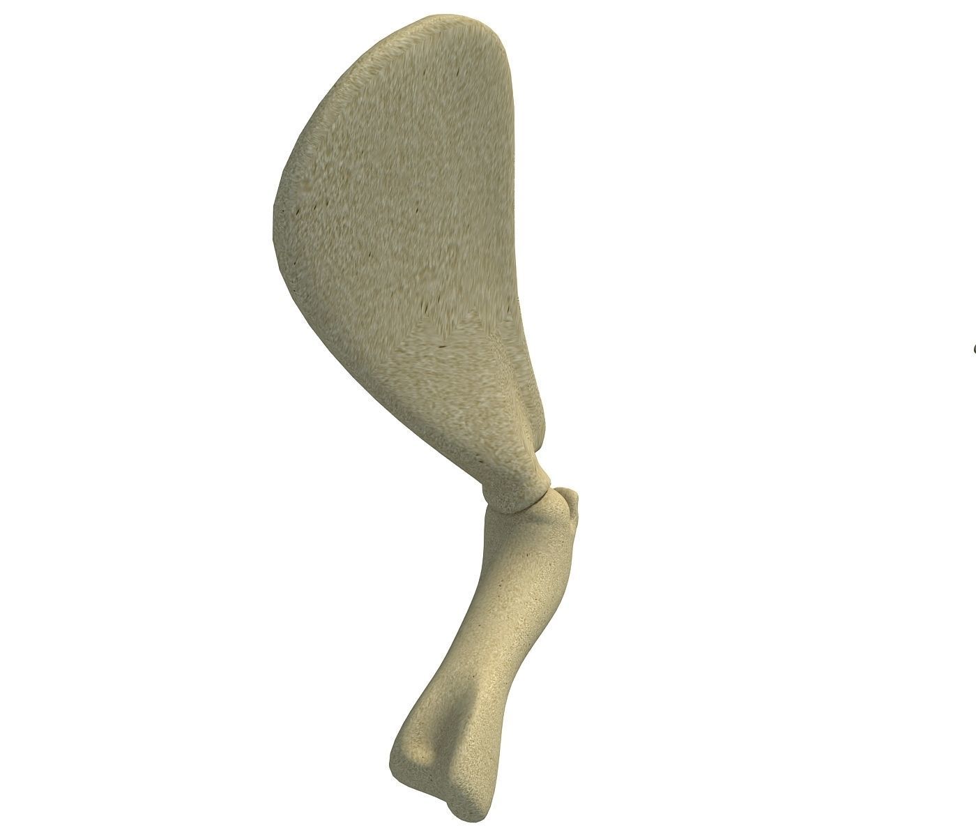 Animal Scapula Upper Bone 3D model_1