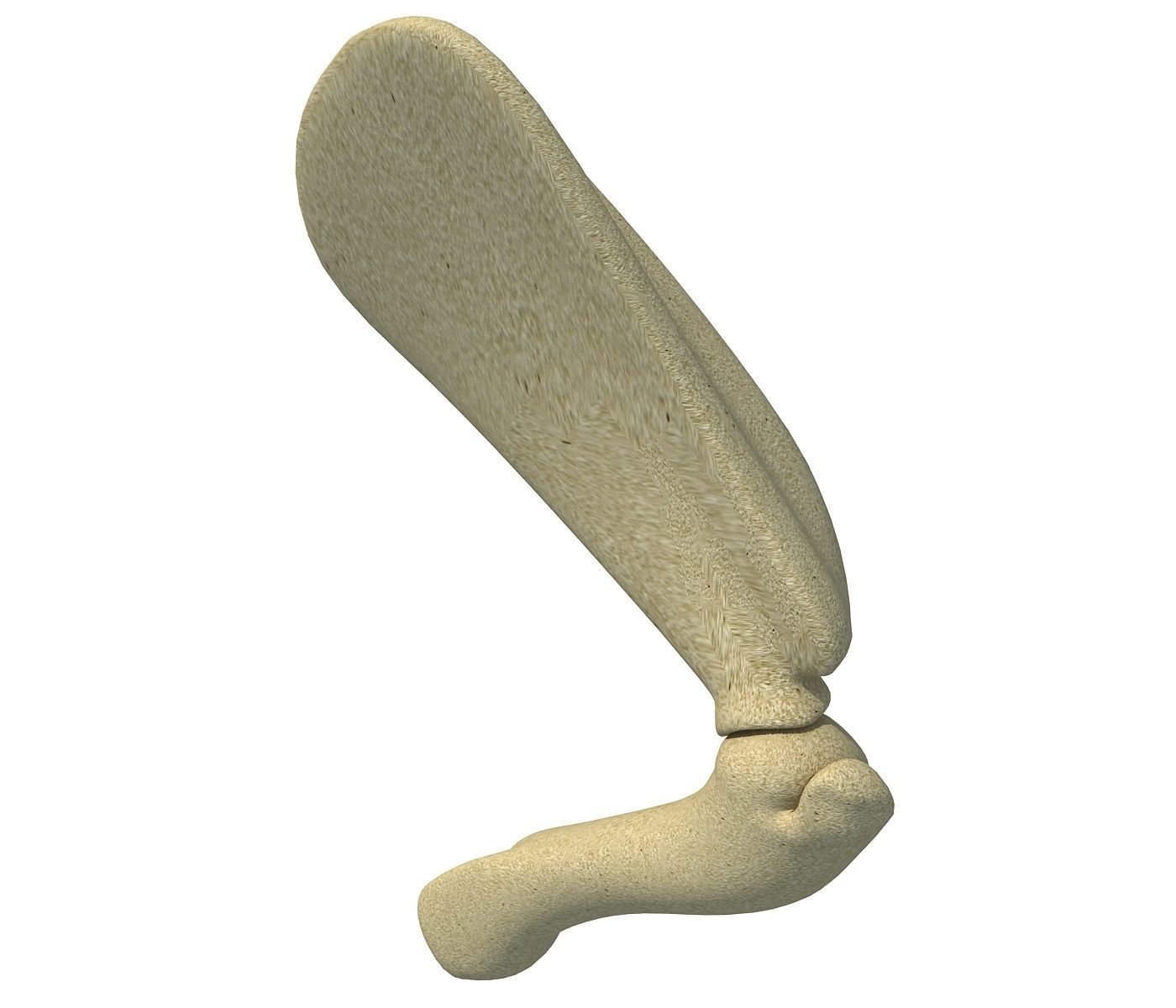 Animal Scapula Upper Bone 3D model_4