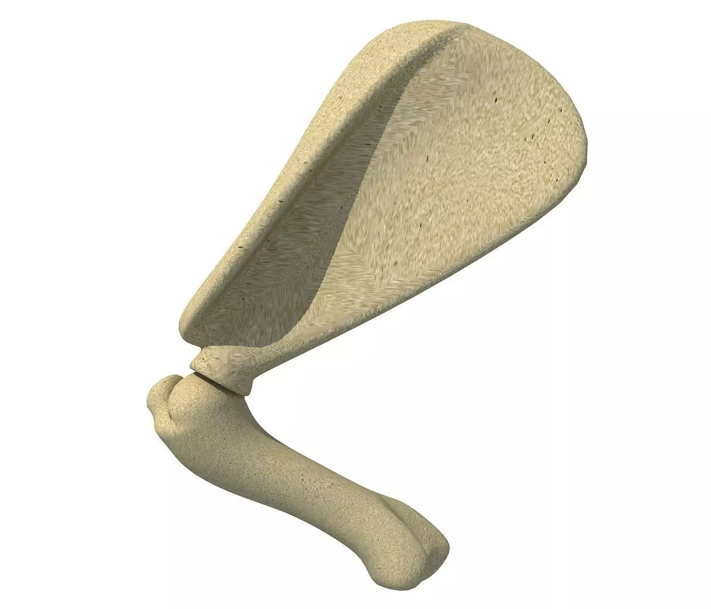 Animal Scapula Upper Bone 3D model_0