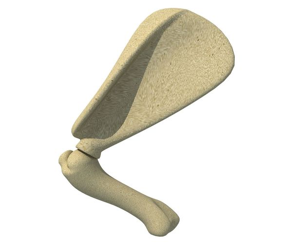 Animal Scapula Upper Bone 3D model