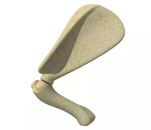 Animal Scapula Upper Bone 3D model
