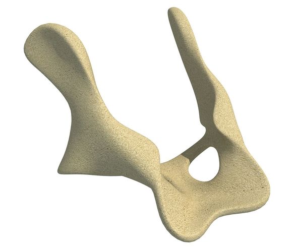 Anatomic Animal Pelvis 3D model