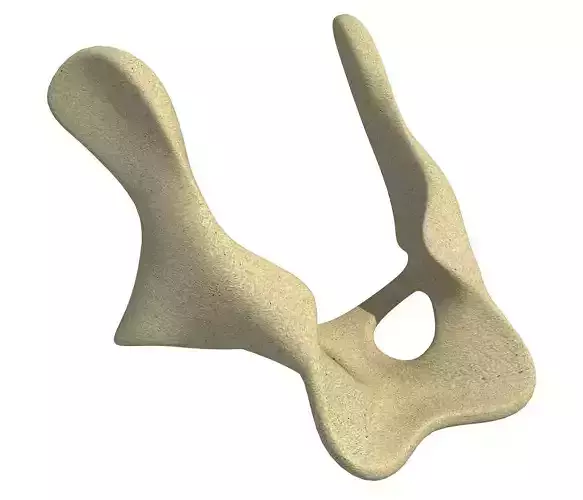 Anatomic Animal Pelvis 3D model