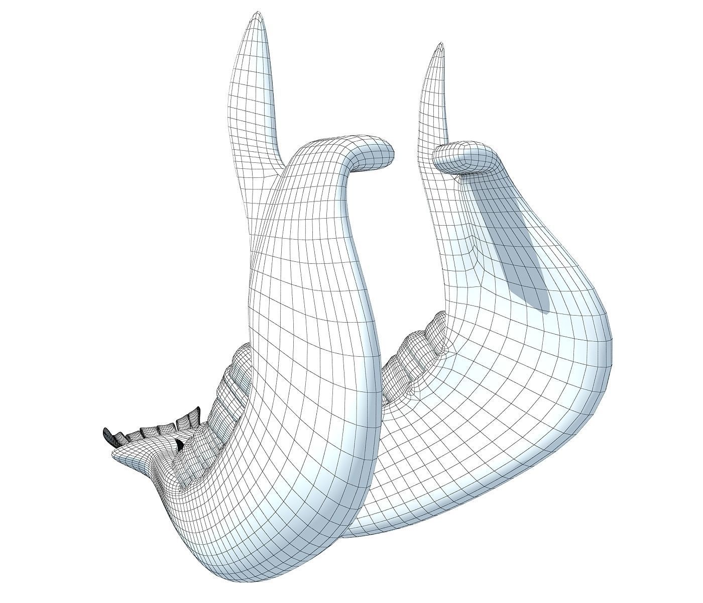 Cow Animal Jaw 77 3D model_5