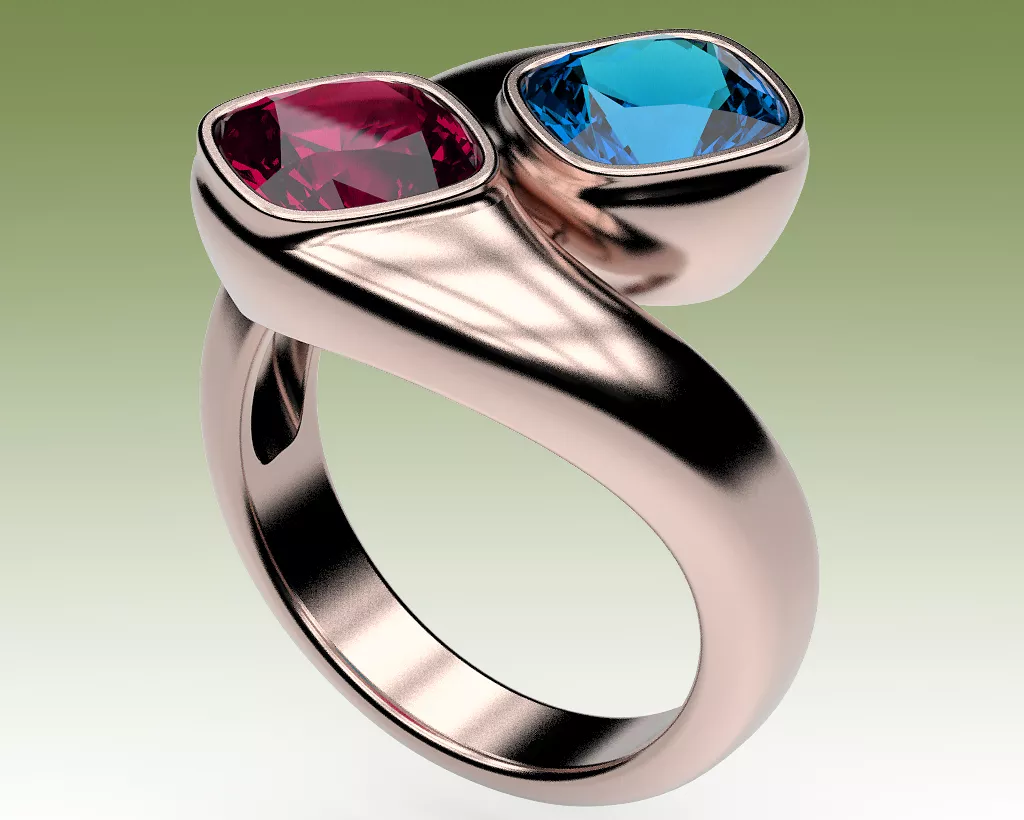 Ring ByPass 3D print model